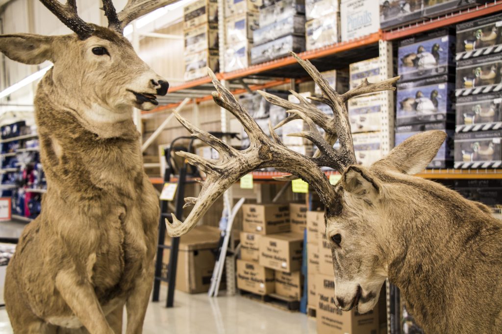 Uncle Lee's, Greenville, KY | Hunting & Sporting Goods